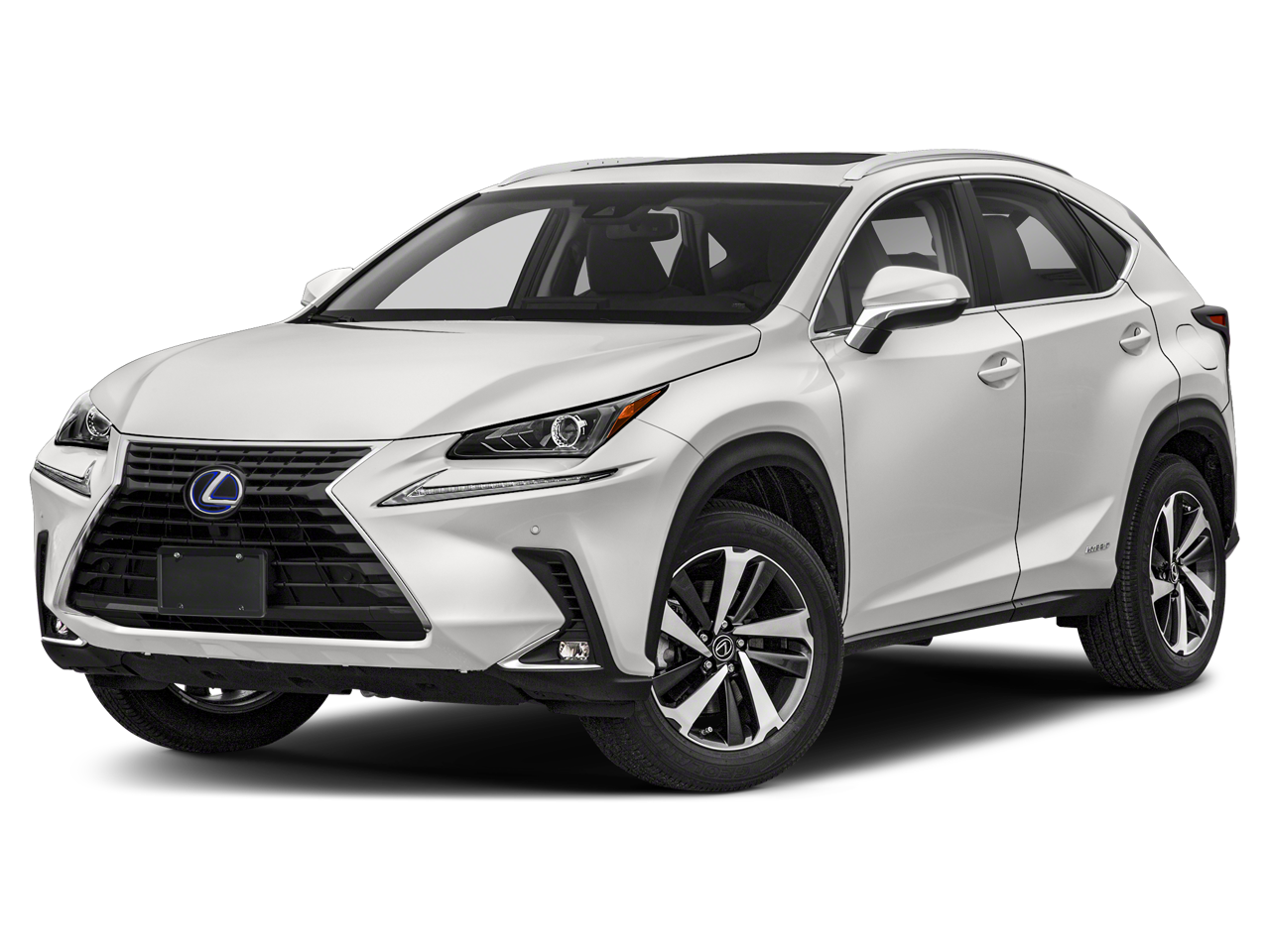 2021 Lexus NX 350h 300h AWD's photo