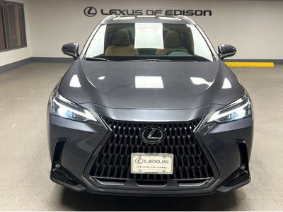 2025 Lexus NX 250 Base