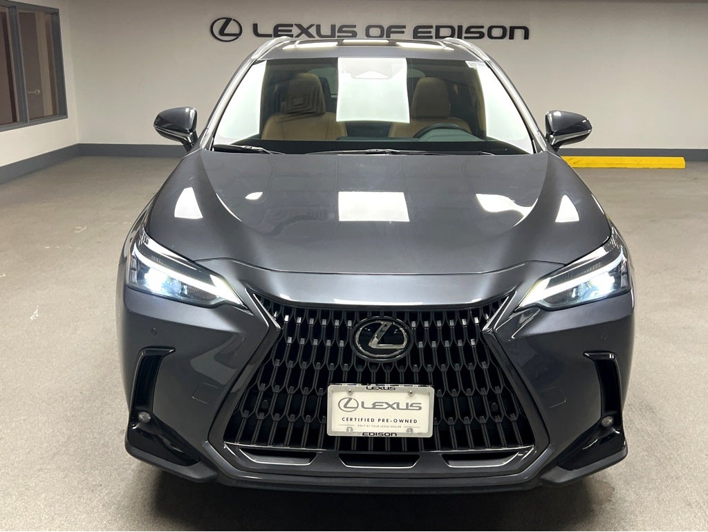 2025 Lexus NX 250 Base