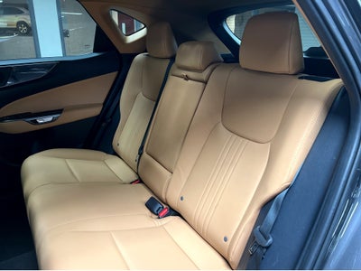 2025 Lexus NX 250 Base