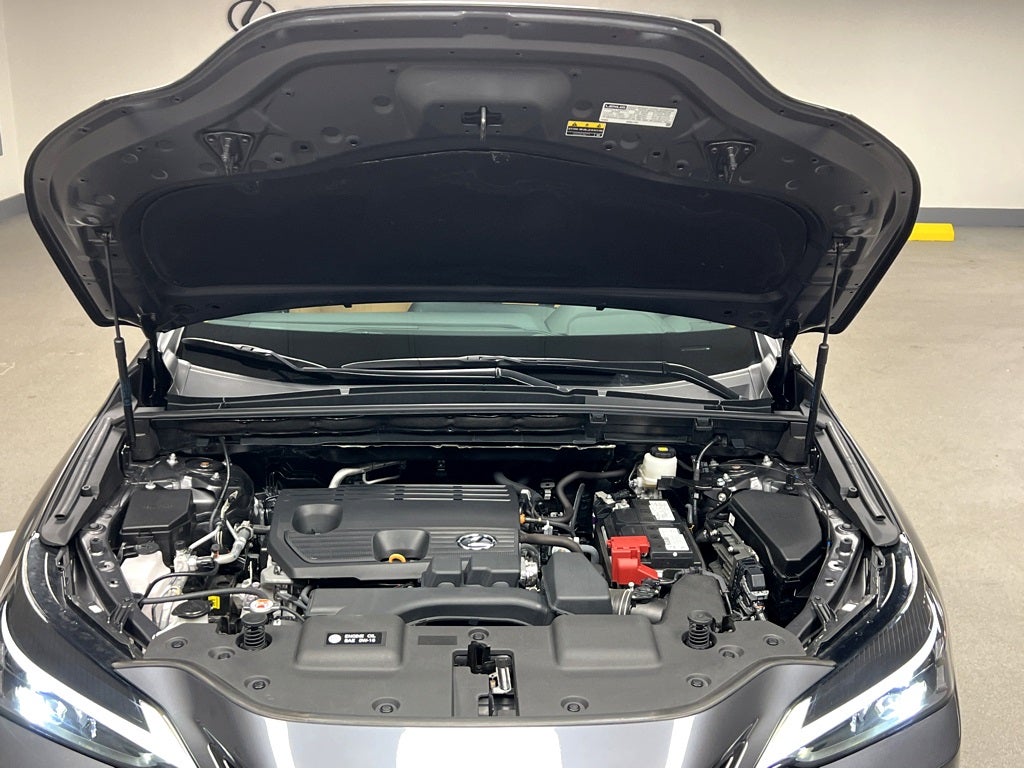 2025 Lexus NX 250 Base