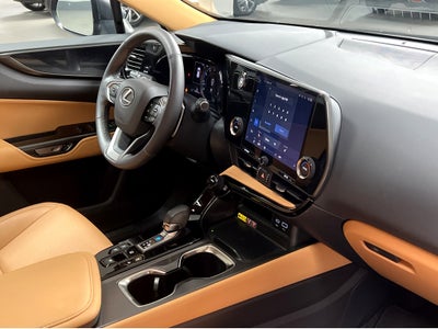 2025 Lexus NX 250 Base