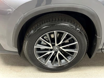 2025 Lexus NX 250 Base