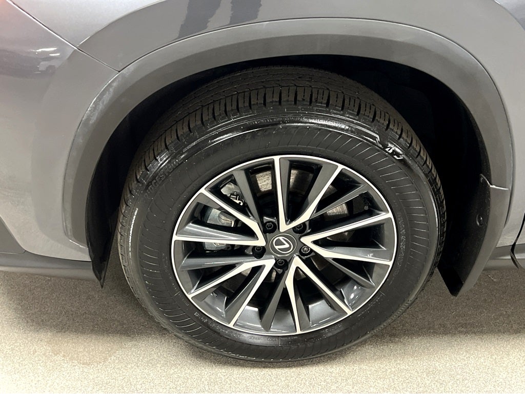 2025 Lexus NX 250 Base