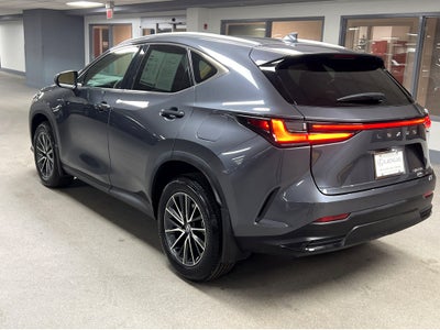 2025 Lexus NX 250 Base