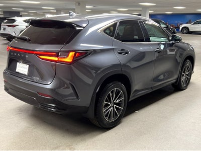 2025 Lexus NX 250 Base