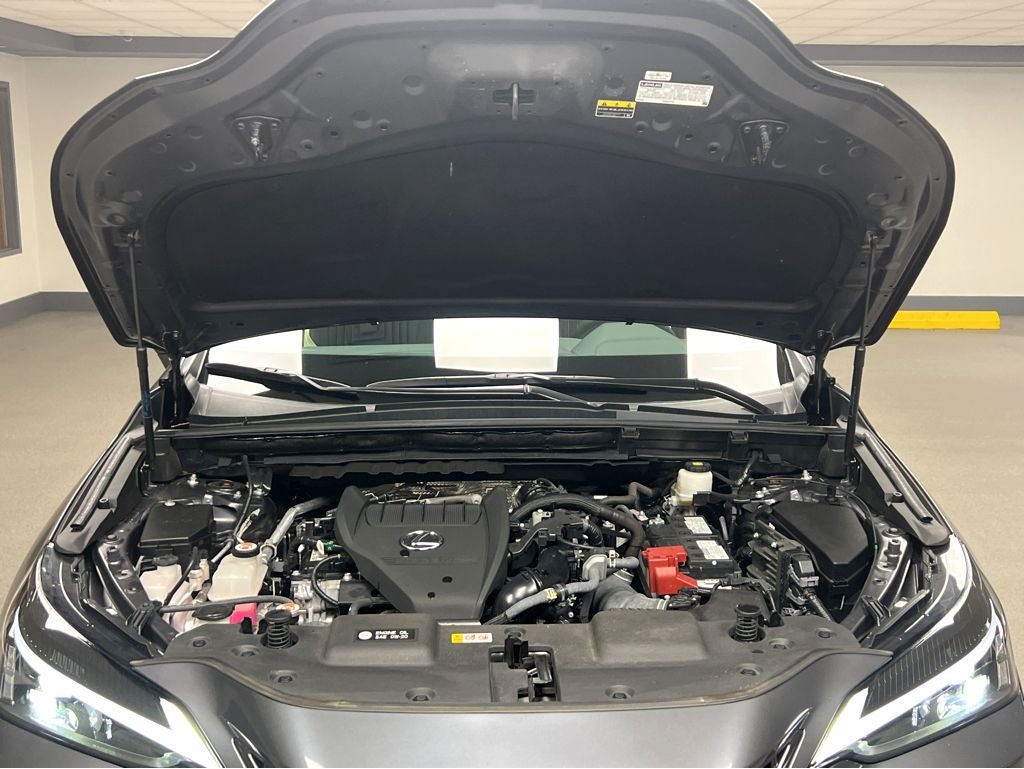 2024 Lexus NX 350 Base