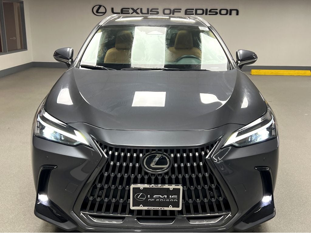 2025 Lexus NX 350 Base