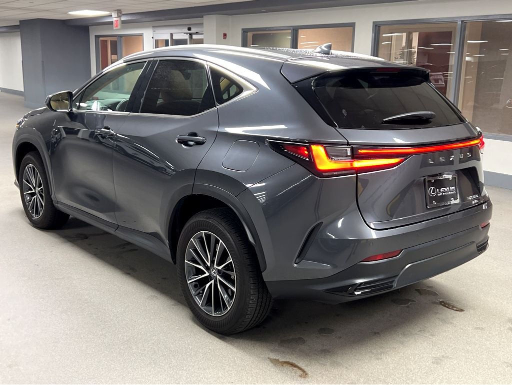 2025 Lexus NX 350 Base