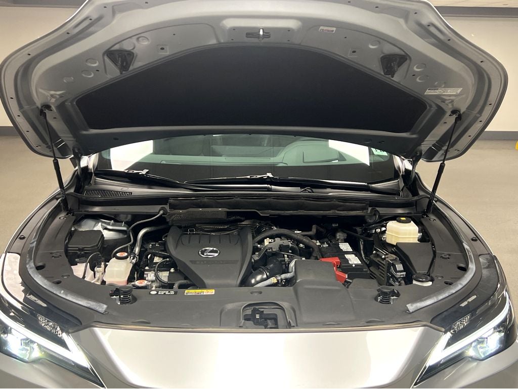 2024 Lexus RX 350 Premium Plus