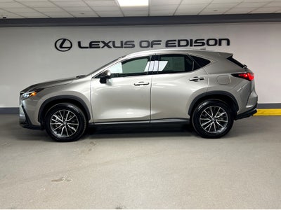 2025 Lexus NX 350 Premium