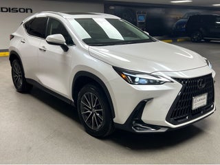 2025 Lexus NX