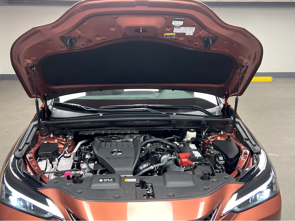 2025 Lexus NX 350 Premium