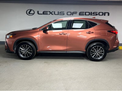 2025 Lexus NX 350 Premium