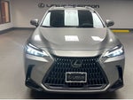 2023 Lexus NX 350 Luxury