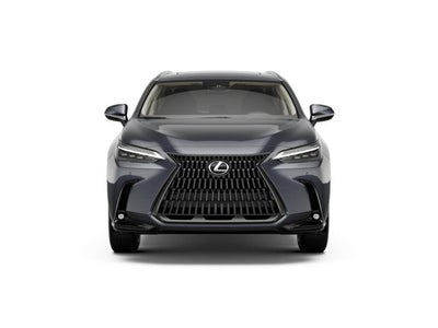 2026 Lexus NX 350 Luxury