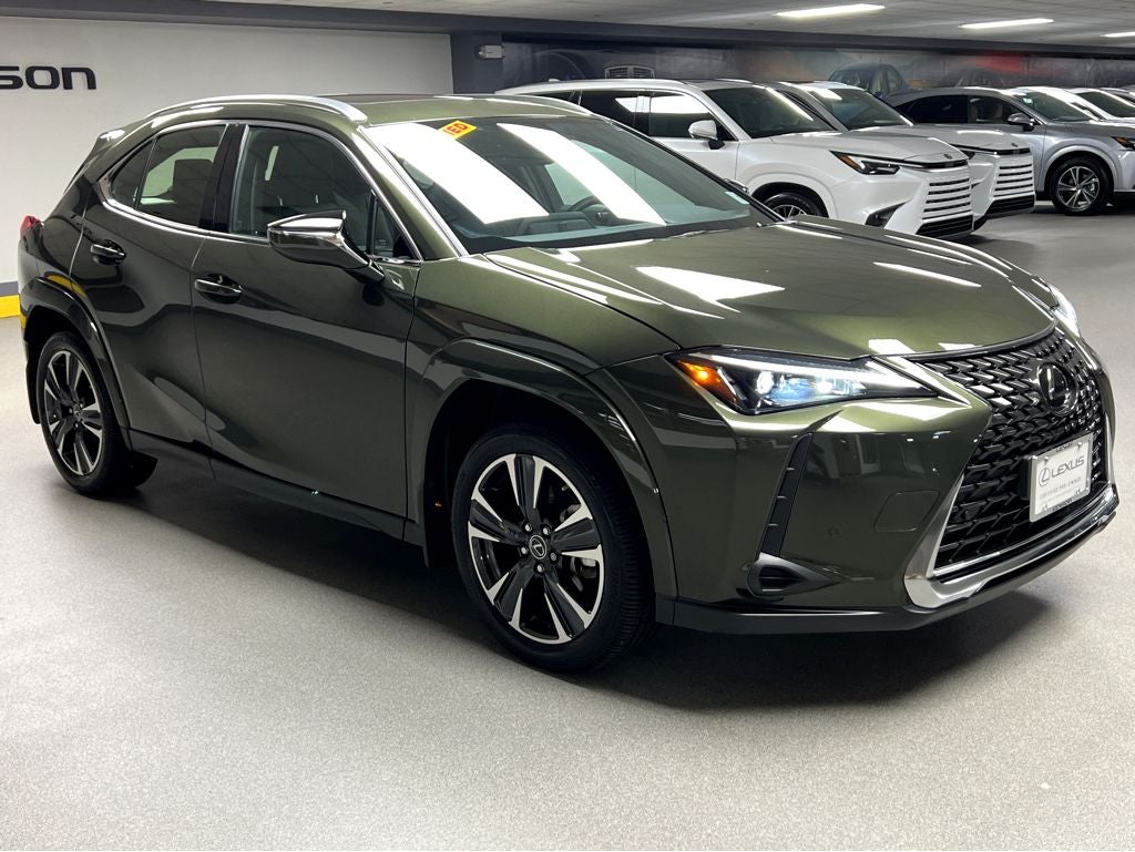 2024 Lexus UX 300h 250h Premium AWD's photo
