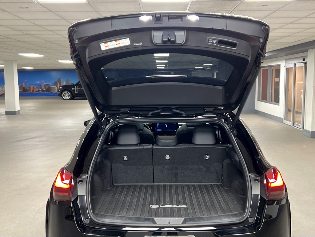 2024 Lexus UX 250h Premium