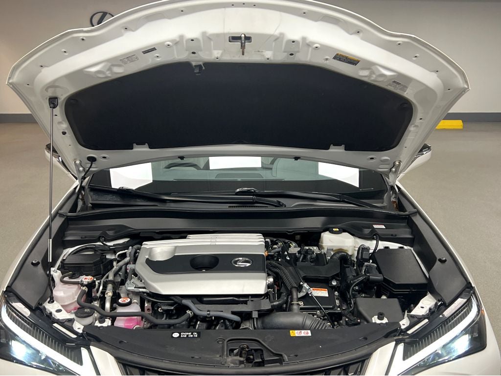 2024 Lexus UX 250h Premium