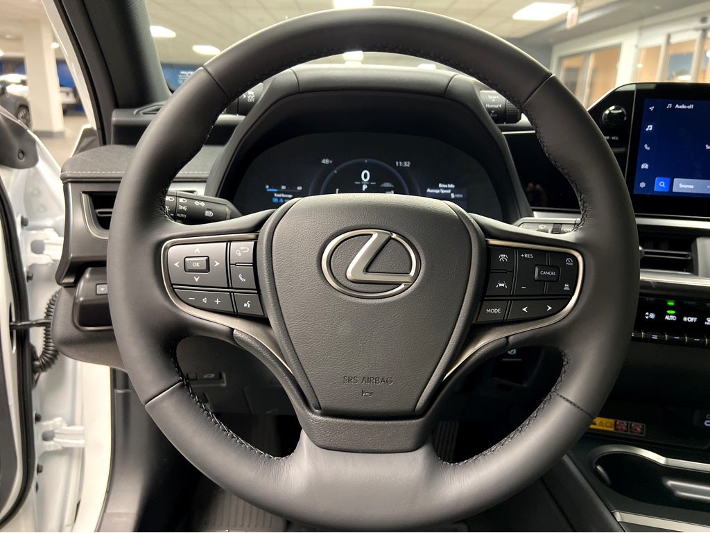 2025 Lexus UX 300h Premium