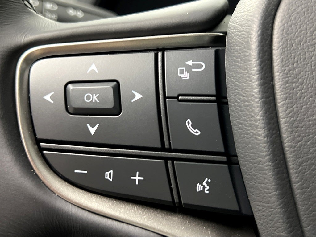 2025 Lexus UX 300h Premium