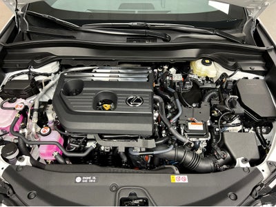 2025 Lexus UX 300h Premium