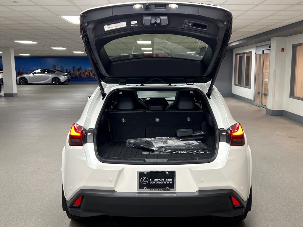 2025 Lexus UX 300h Premium