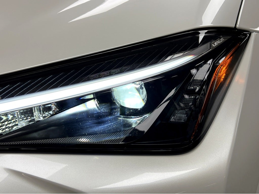 2025 Lexus UX 300h Premium