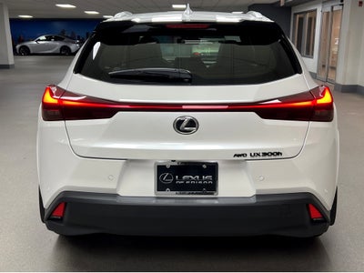 2025 Lexus UX 300h Premium