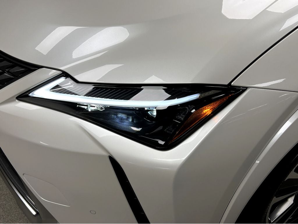 2025 Lexus UX 300h Premium