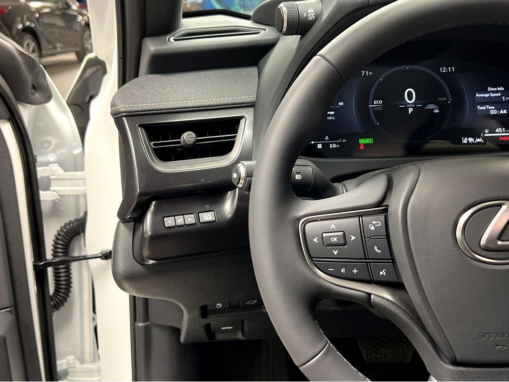 2025 Lexus UX 300h Premium