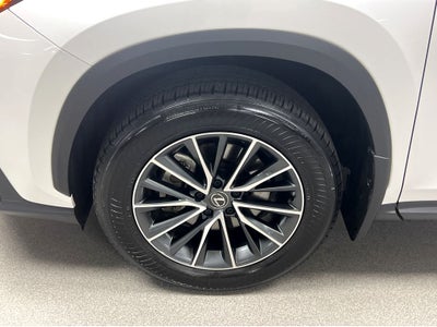 2024 Lexus NX 350 Base