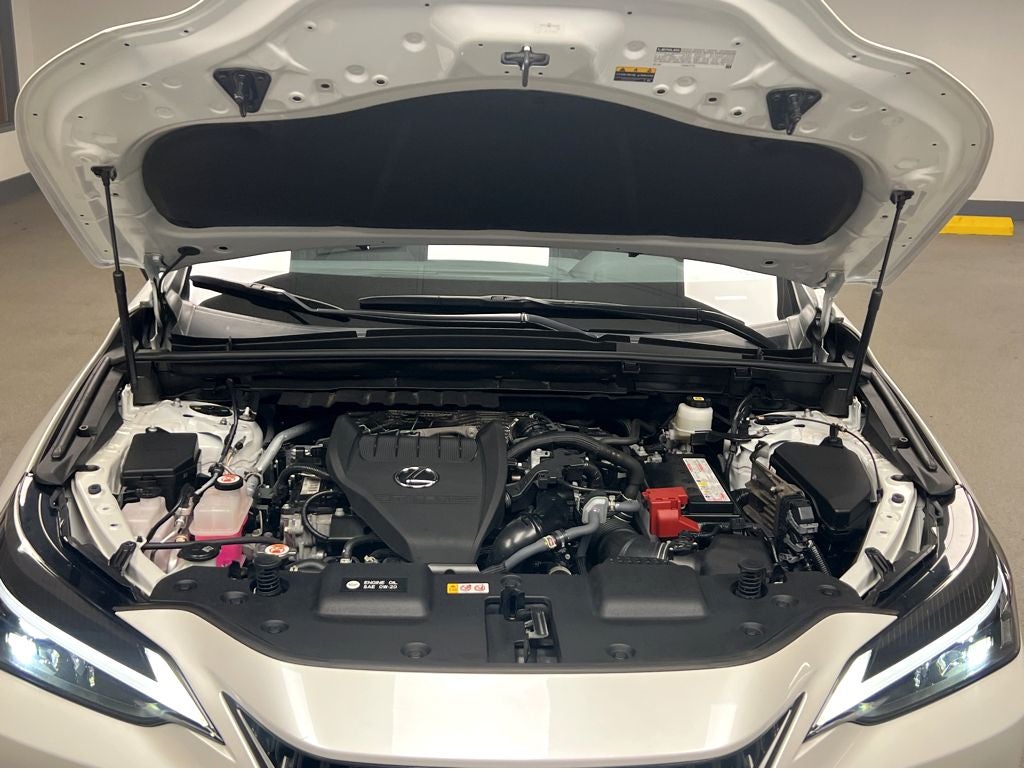 2024 Lexus NX 350 Base