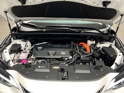 2025 Lexus NX 350h Premium HYBRID