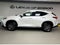 2025 Lexus NX 350h Premium HYBRID